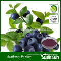 Natural Brazilian Acai Berry Extract